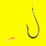 BigHookLittleFish
