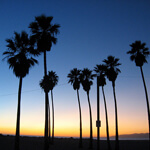 California_150x150