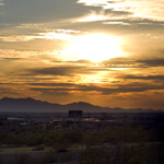 Phoenix_grngobstpr_sxchng_150x150