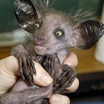 The_Ugly_Truth-chris.corwin-Flickr